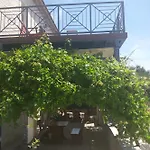 Gina Трогір